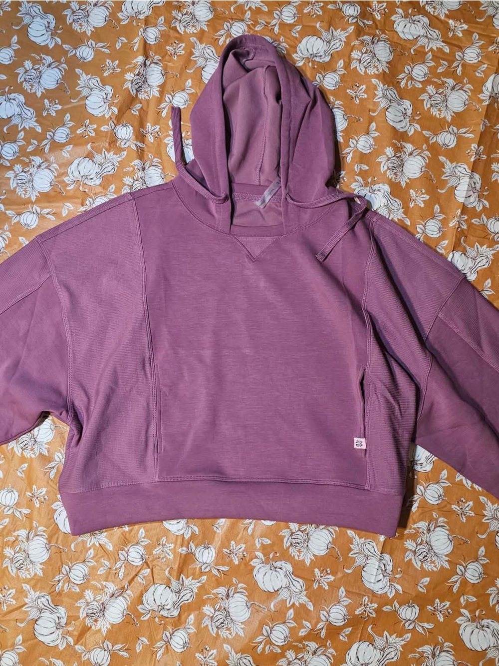 NWT crop top SIMPLY SOUTHERN HOODIE